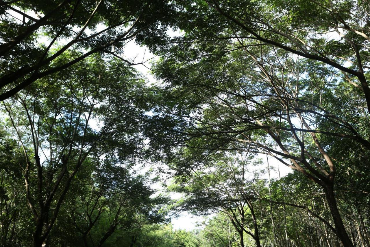 Intercontinental Khao Yai Resort By Ihg Pak Chong المظهر الخارجي الصورة