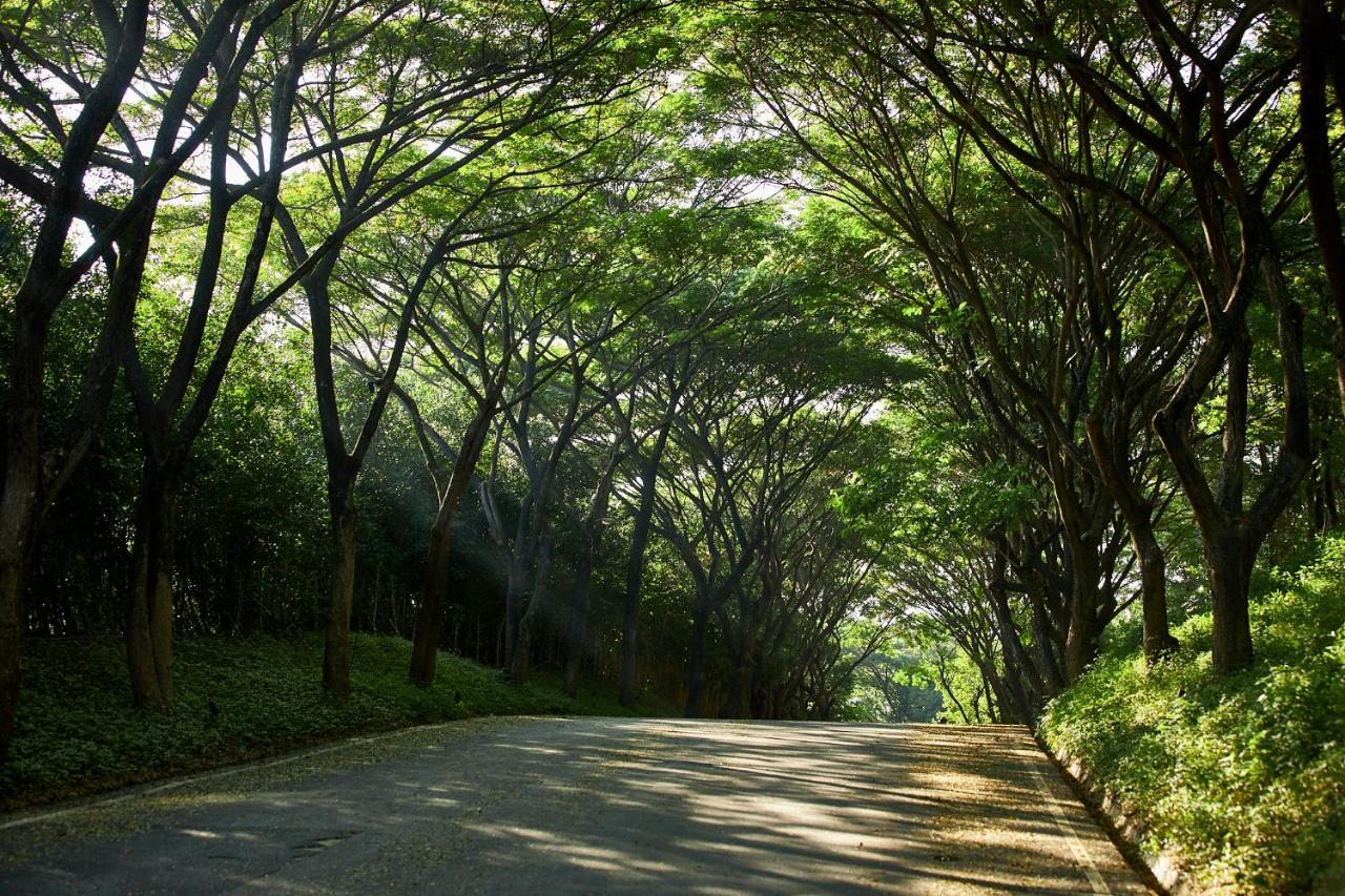 Intercontinental Khao Yai Resort By Ihg Pak Chong المظهر الخارجي الصورة